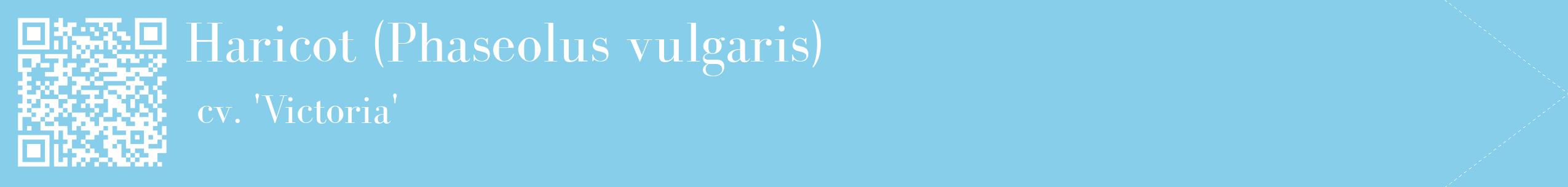 étiquette 2