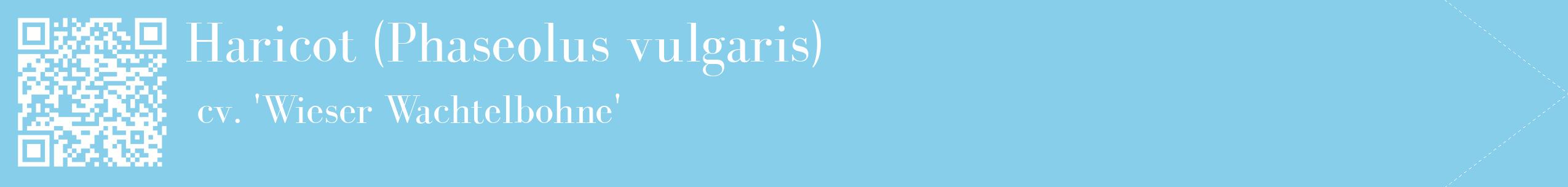 étiquette 2