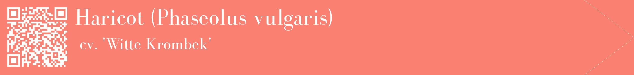 étiquette 2