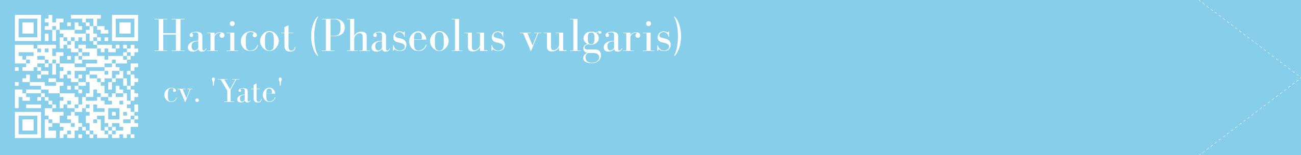 étiquette 2