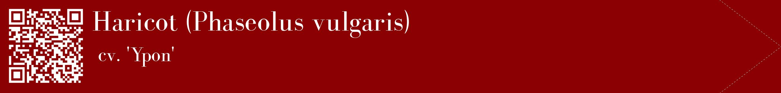 étiquette 2