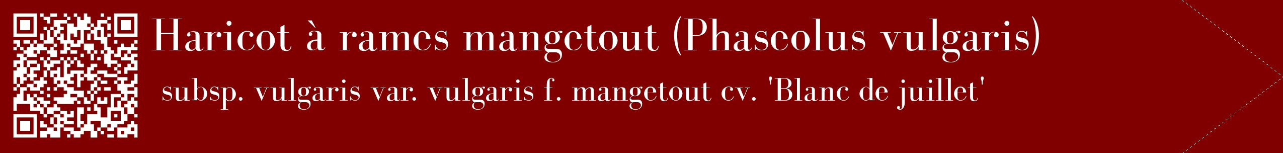 étiquette 2
