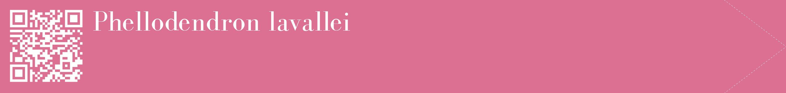 étiquette 2