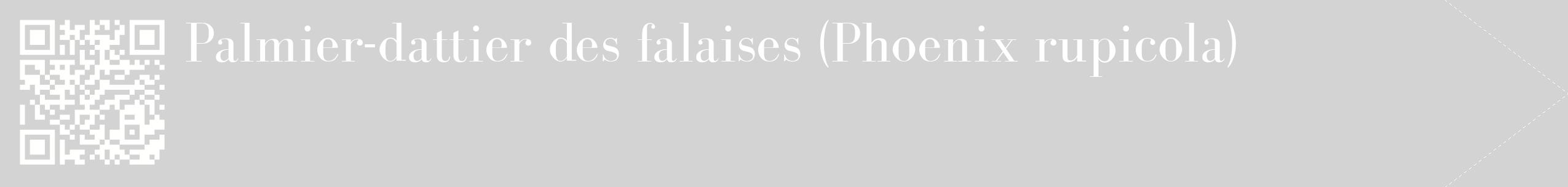 étiquette 2