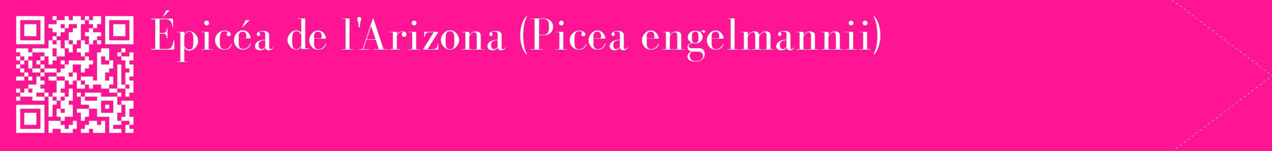 étiquette 2