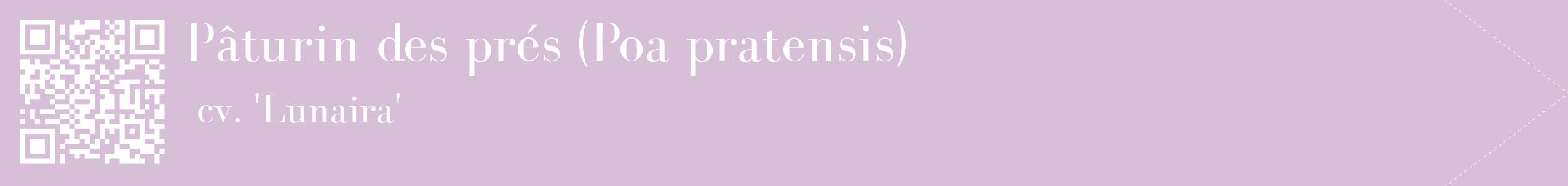 étiquette 2