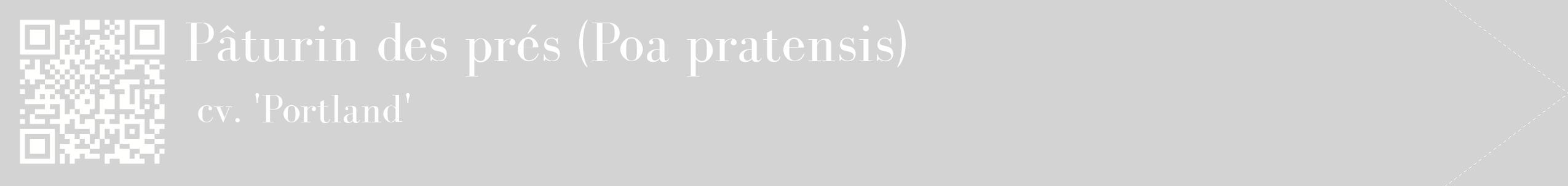 étiquette 2