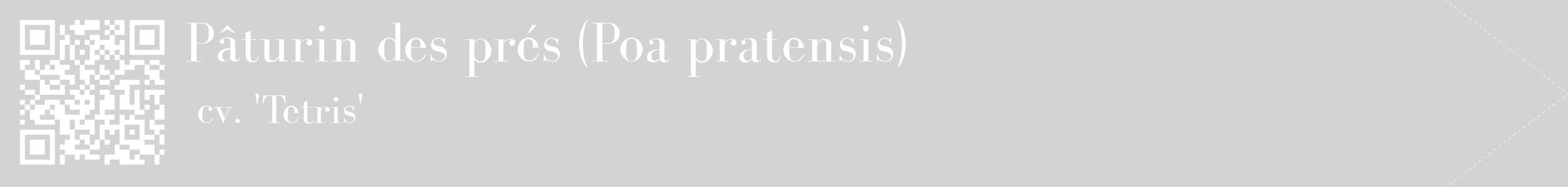 étiquette 2