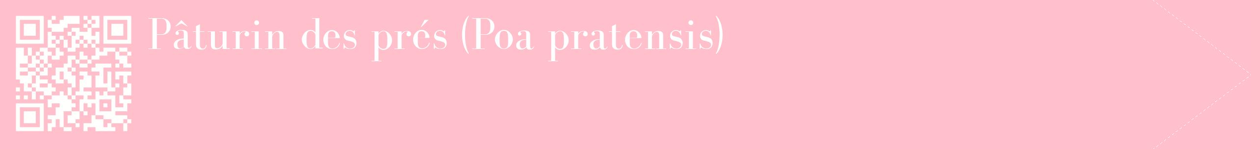 étiquette 2