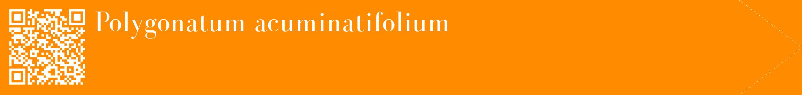 étiquette 2