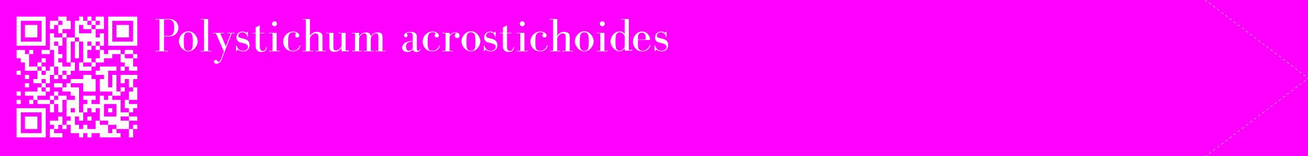 étiquette 2