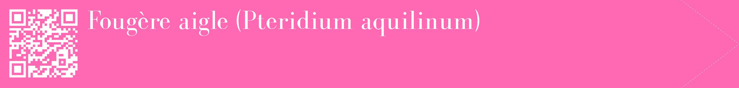 étiquette 2