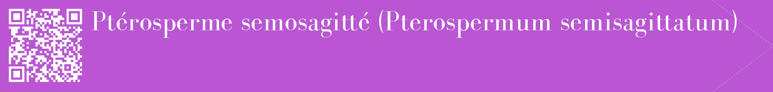 étiquette 2