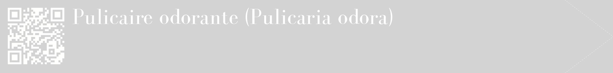 étiquette 2