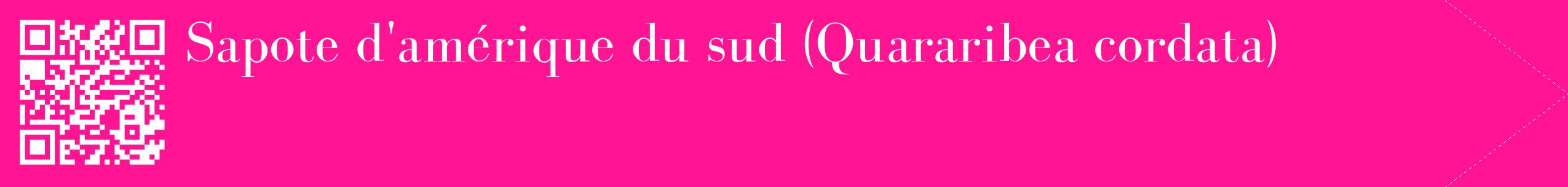 étiquette 2