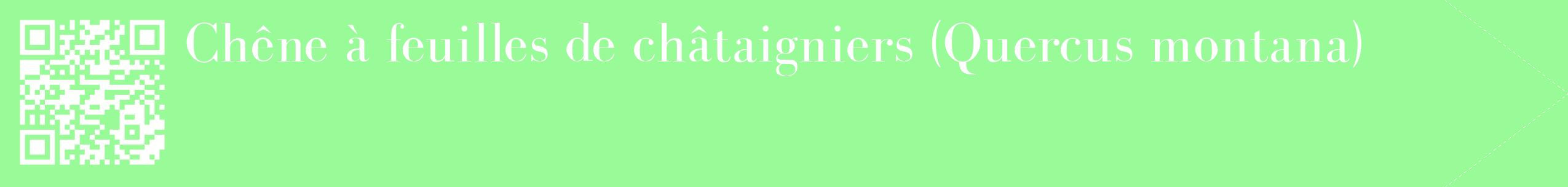 étiquette 2