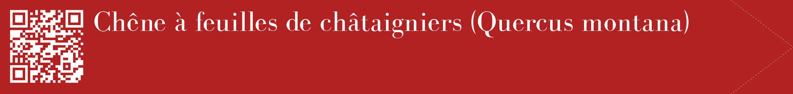 étiquette 2