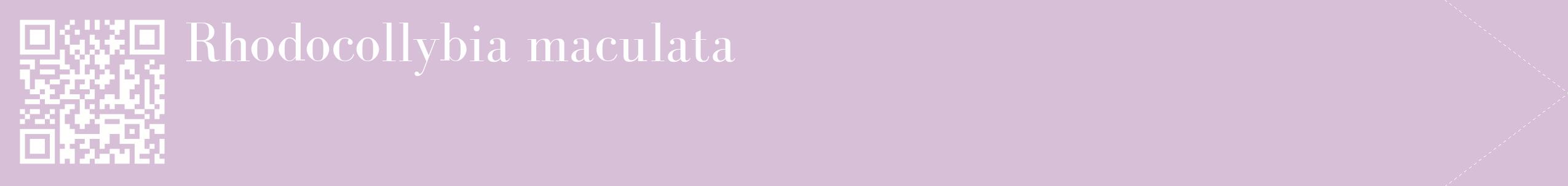 étiquette 2