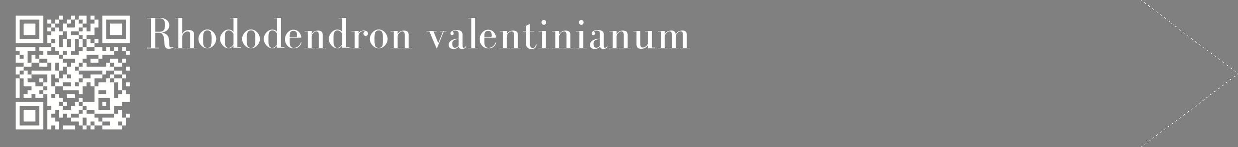 étiquette 2