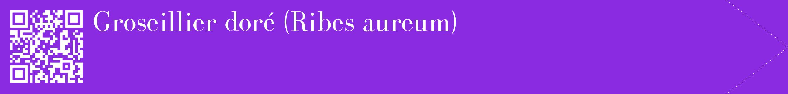 étiquette 2