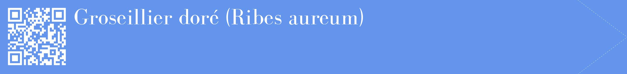 étiquette 2