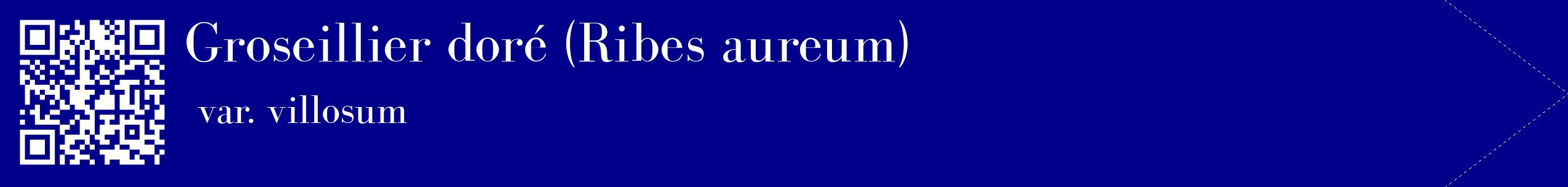 étiquette 2