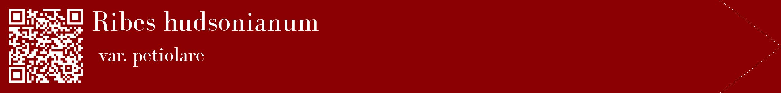 étiquette 2