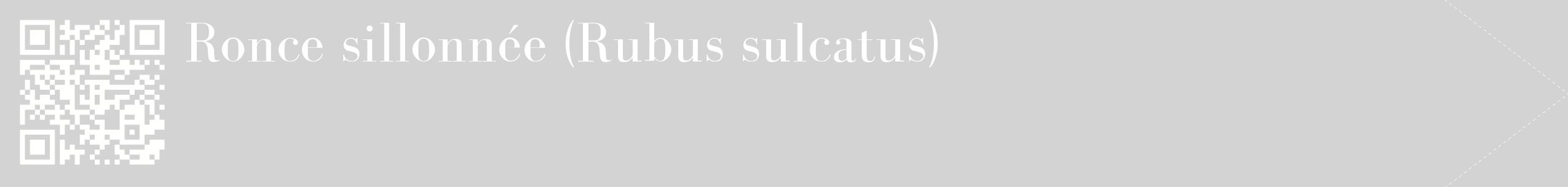 étiquette 2