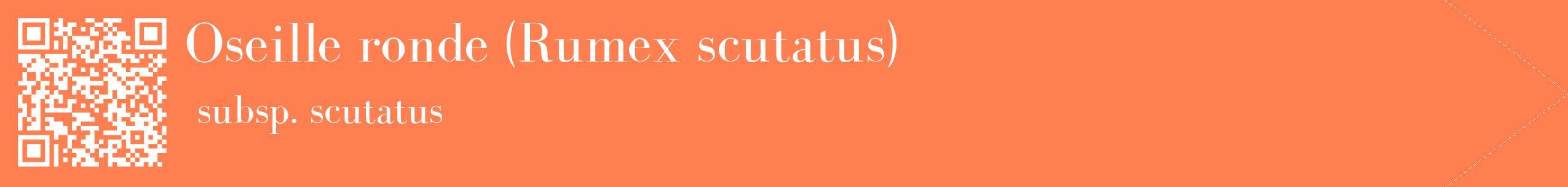 étiquette 2