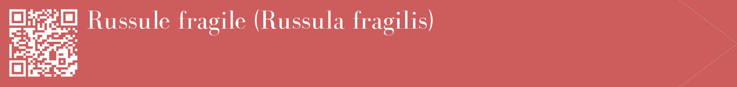 étiquette 2