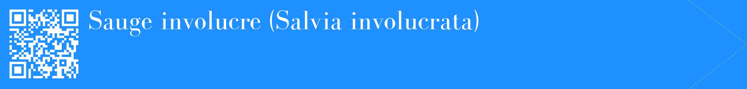 étiquette 2