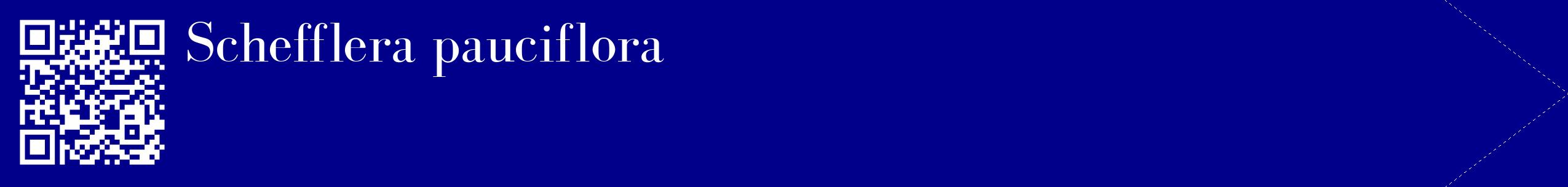 étiquette 2