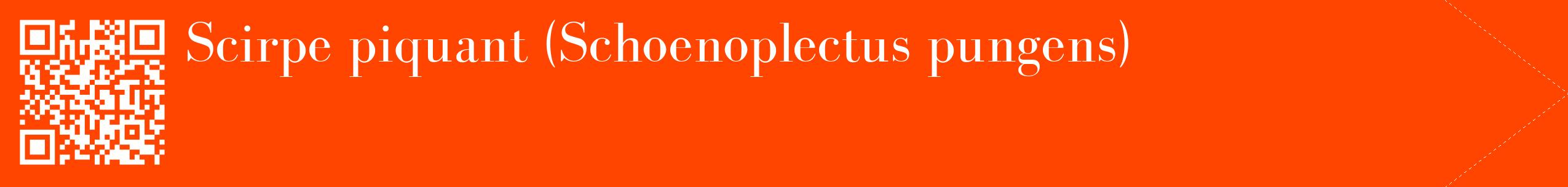 étiquette 2