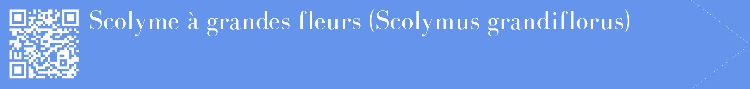 étiquette 2