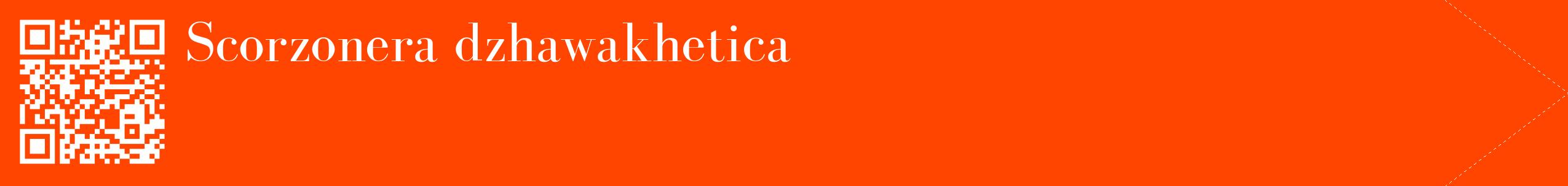 étiquette 2