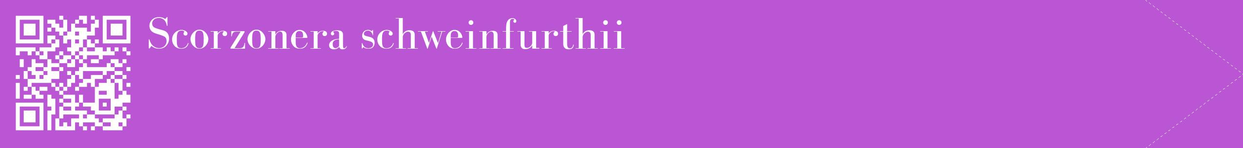 étiquette 2
