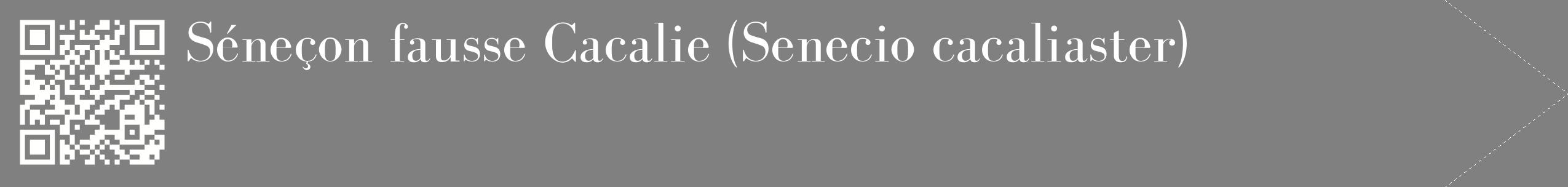 étiquette 2