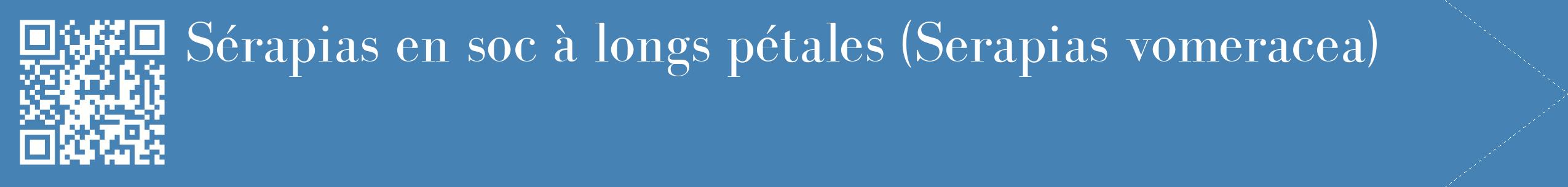 étiquette 2