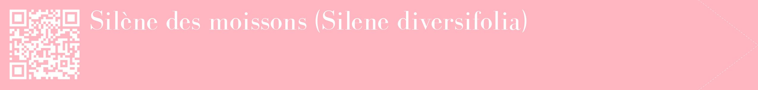 étiquette 2