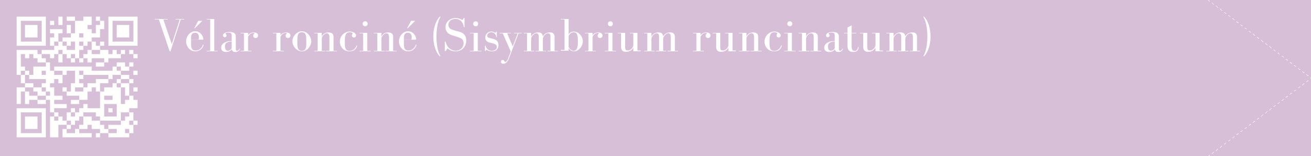 étiquette 2