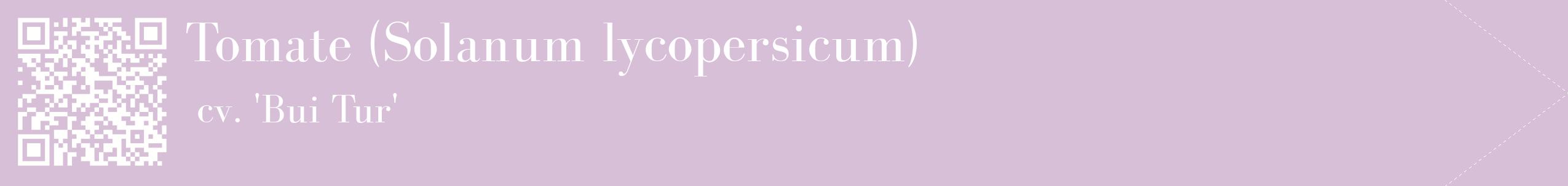 étiquette 2