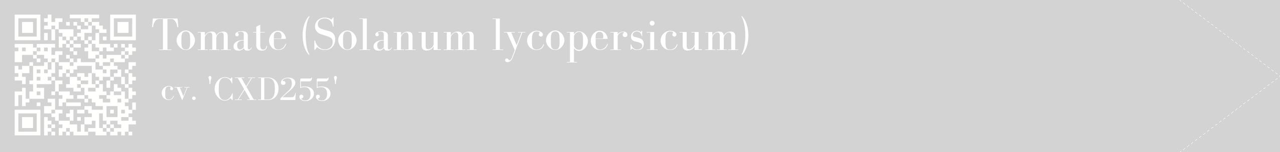 étiquette 2