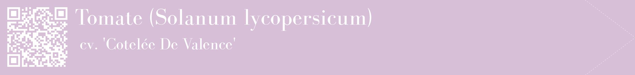 étiquette 2