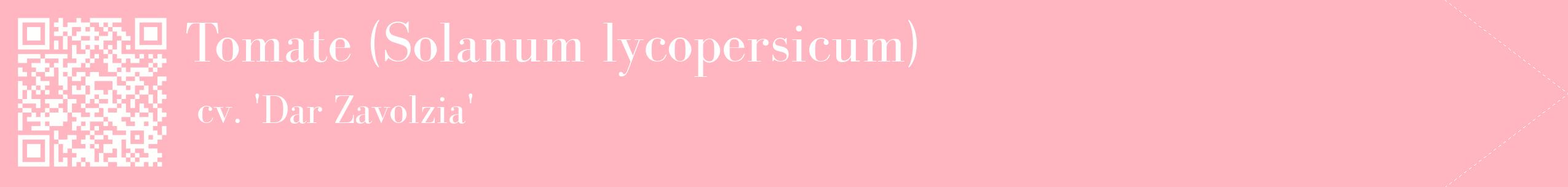 étiquette 2