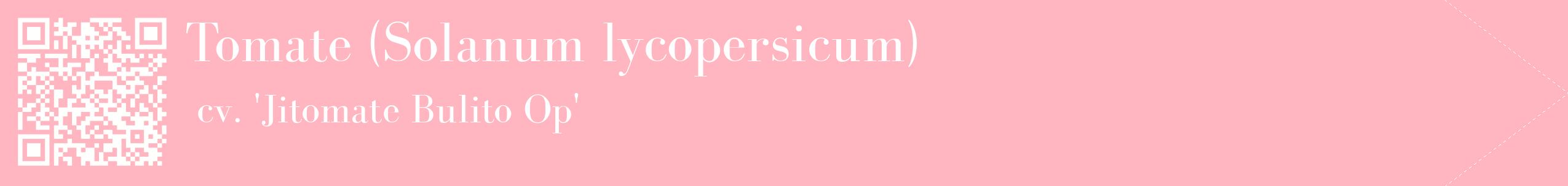 étiquette 2