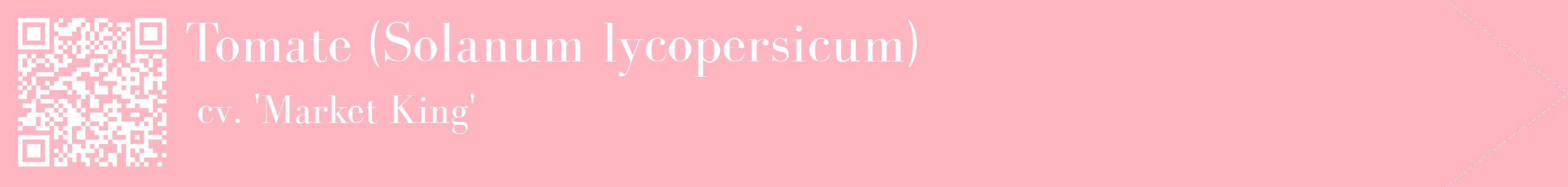 étiquette 2