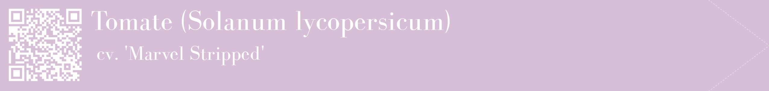 étiquette 2