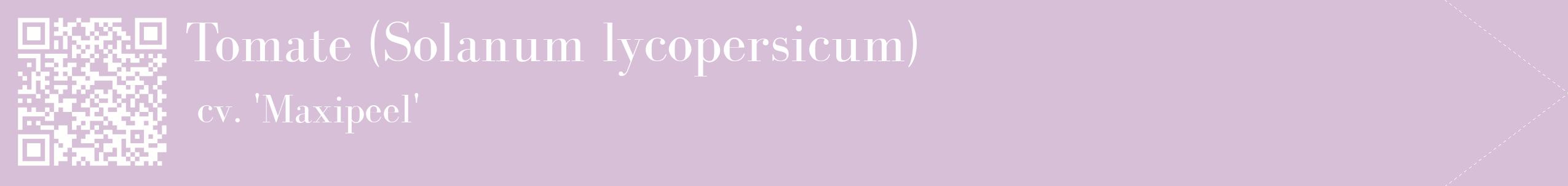étiquette 2