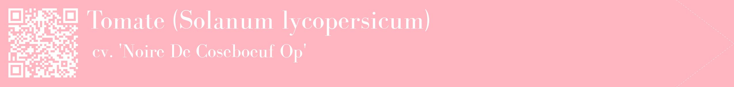 étiquette 2