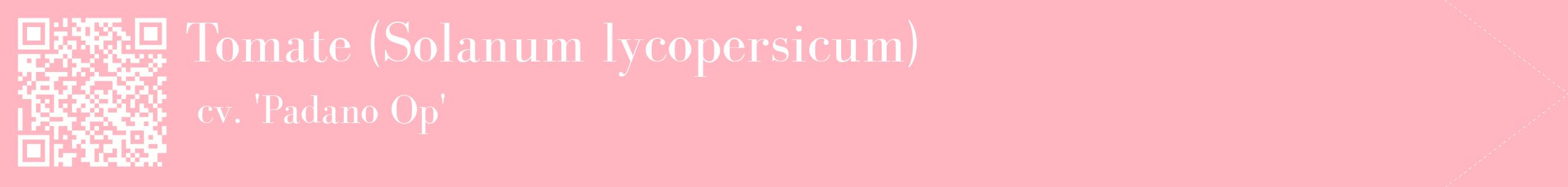 étiquette 2